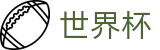 2026国际足联世界杯官方指定平台 | 官方指定平台